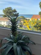 Top Six-Fours-les-Plages