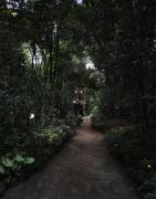 Kivulini A-Frame Cabin Forest
