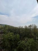 Misty Mountain Escape