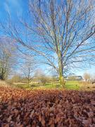 Central Apartment close to the Marina