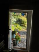 Top Ottery Saint Mary