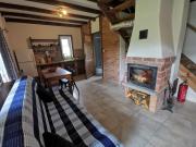 Top Dwernik Top Dwernik