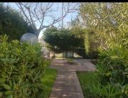 Top Isola della Malva