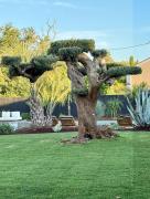 Top Saint-Laurent-des-Combes