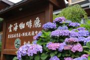 Top Wufeng