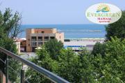 Evergreen Vlas Mamaia Sud