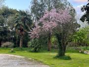 Nel giardino segreto