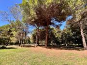 Top Viareggio