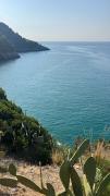 Top Maranola