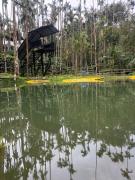 Haranamakki Homestay