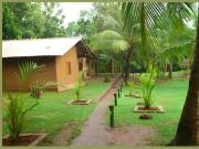 Emma safari udawalawa