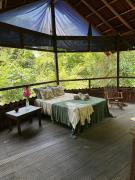 Beautiful open house in the forest