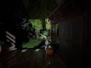 Top Skórcz Top Skórcz