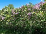 Top Södertälje Top Södertälje