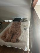 Top Roche-la-Molière