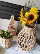 Top Novi Sad