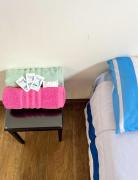 Jardín de la Casa Colonial