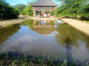 Mawila Big Five Lodge