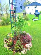 Top Gdynia Top Gdynia