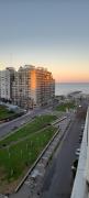 Top Mar del Plata