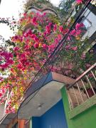 Top Shunde