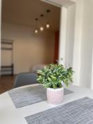 Dobe Nice loft with patio at downtown