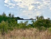 Ursa Major at The Retreat