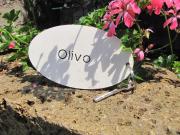 Top Brenzone sul Garda