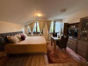 Stylish studio E61 in Borovets Gardens