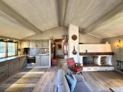 Briskebu, cosy cabin by ski slopes