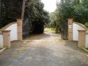 Top Castiglione della Pescaia