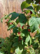 Top Szczyrk Top Szczyrk