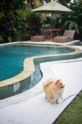 Top Ubud