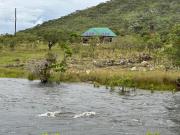 Top Shiwa Ngandu
