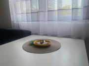 Tesla centar free parking