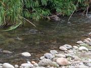 Top Salento Top Salento