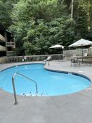 Top Gatlinburg