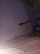 Top Cachoeiro de Itapemirim