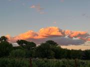Top Cottonwood
