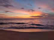 Palu - at The Lighthouse