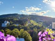 Top Krynica Zdrój Top Krynica Zdrój