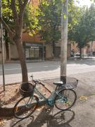Top Modena Top Modena