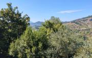 Top Caprazzino