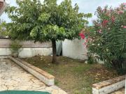 Top La Guérinière Top La Guérinière