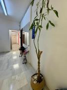 Top Athens Top Athens