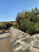 Top Apomarmá Top Apomarmá