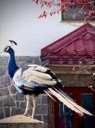 Central Luxury Apartment with City View