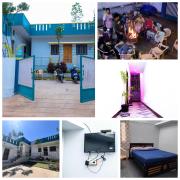 Green Minion Home stay