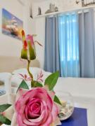 Studio Marine Theme by Emman & Jovy Staycation