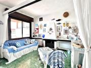 la farfalla blu sul mare